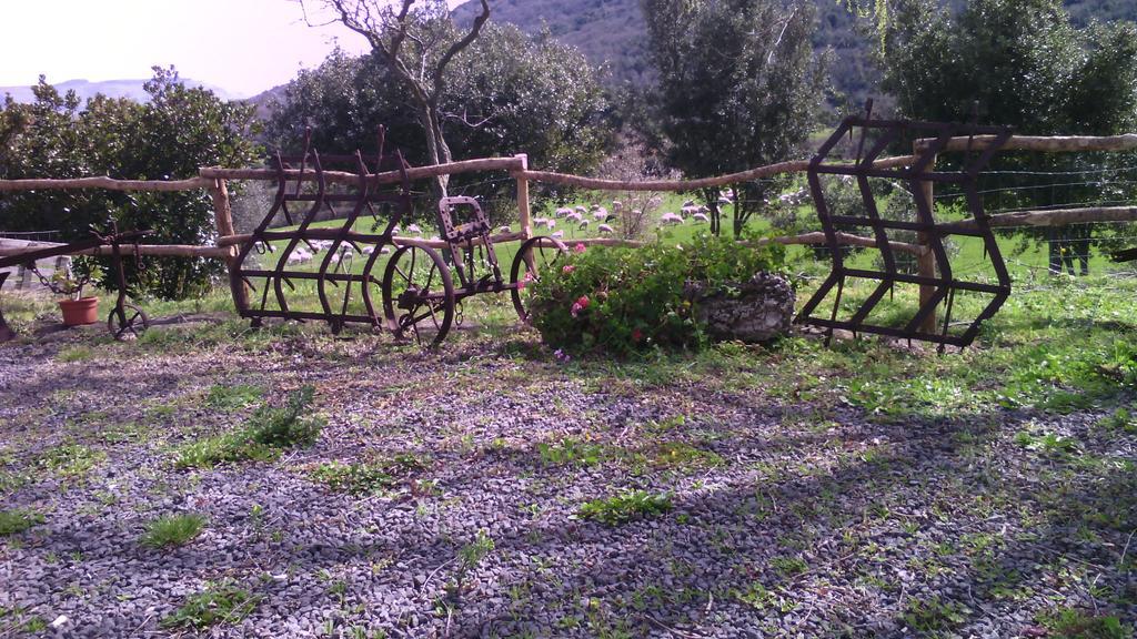 Agriturismo Cugumia Thiesi Luaran gambar