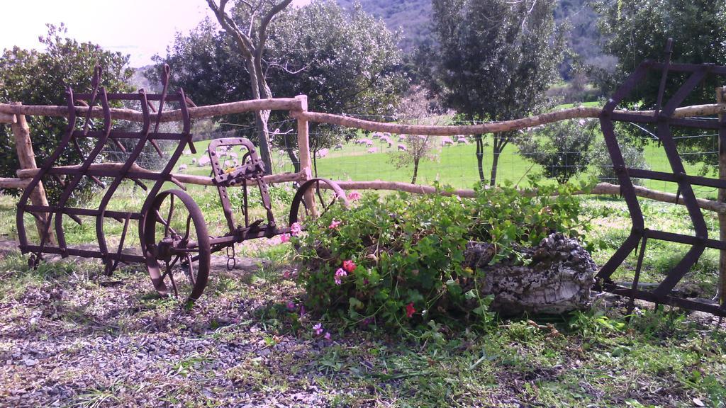 Agriturismo Cugumia Thiesi Luaran gambar