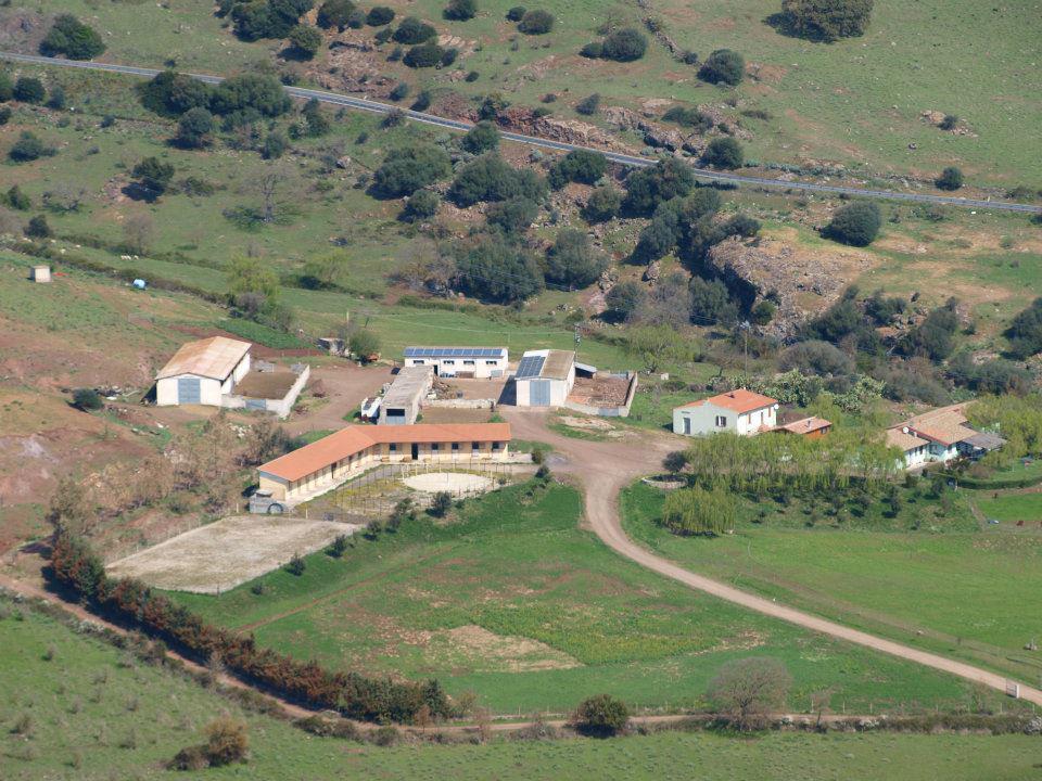 Agriturismo Cugumia Thiesi Luaran gambar